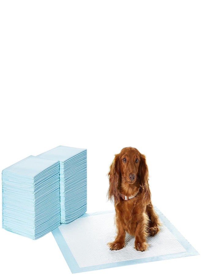 Aksh Disposable Pet Training Pads 60x40 cms Small Puppy Pee and Potty Pads with Quick Drying Surface & Absorbent Core, Suitable for Small/Medium/ Breed Pets, Dogs, Cats - Pack of 1, 20 pcs - Image 3